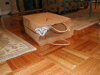 The old paper bag trick?