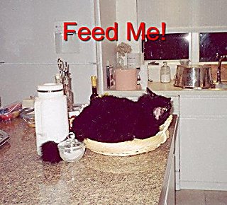 feed-me